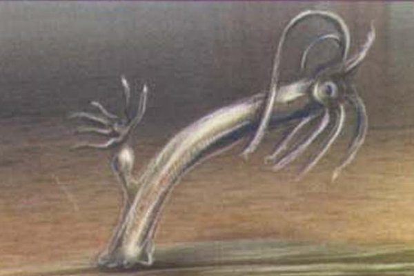 Kra33.cc