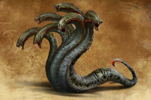 Kraken market place